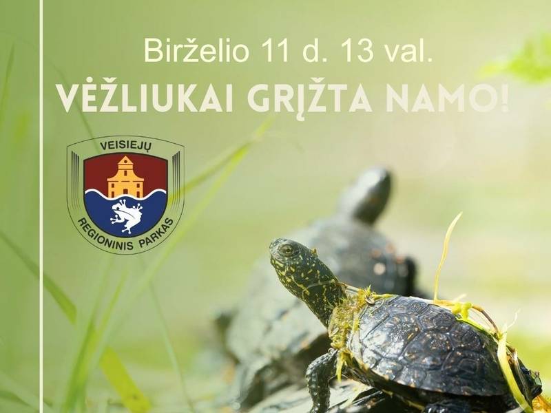 Event "Turtles are coming home"