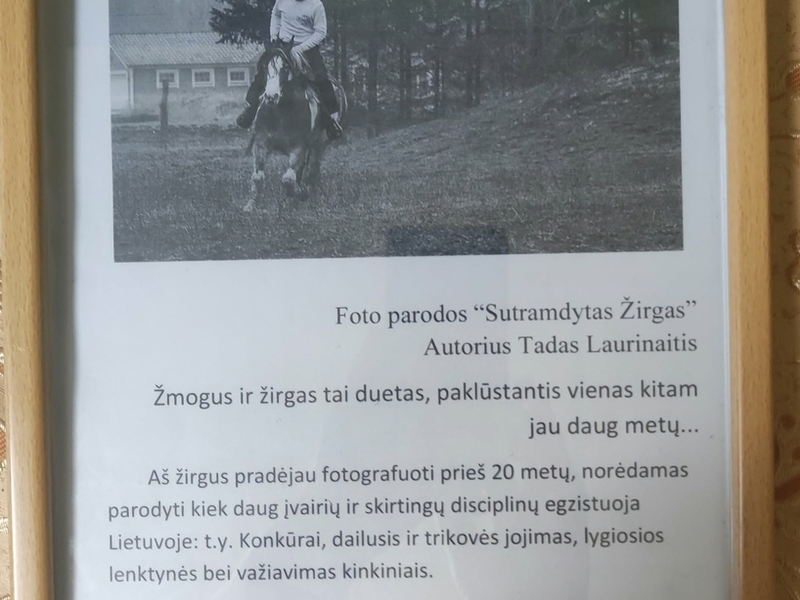 Tado Laurinaičio fotografijų paroda "Sutramdytas žirgas"