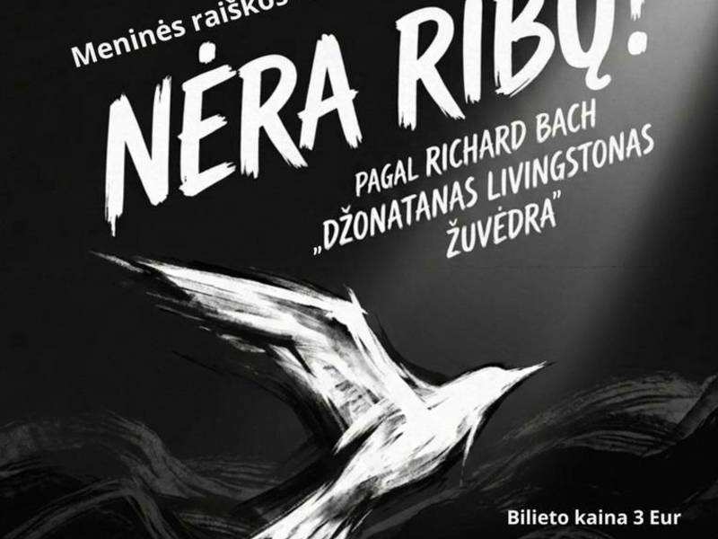 Artistic Expression Studio "Macinga" performance "No Limits"